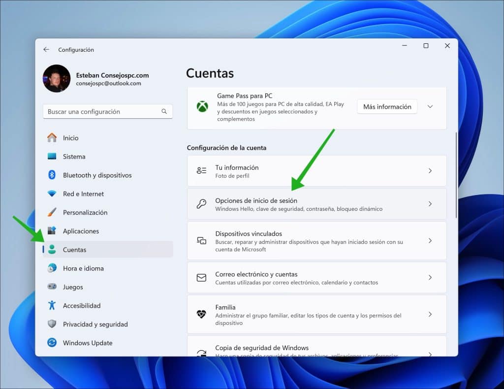 Opciones de inicio de sesión