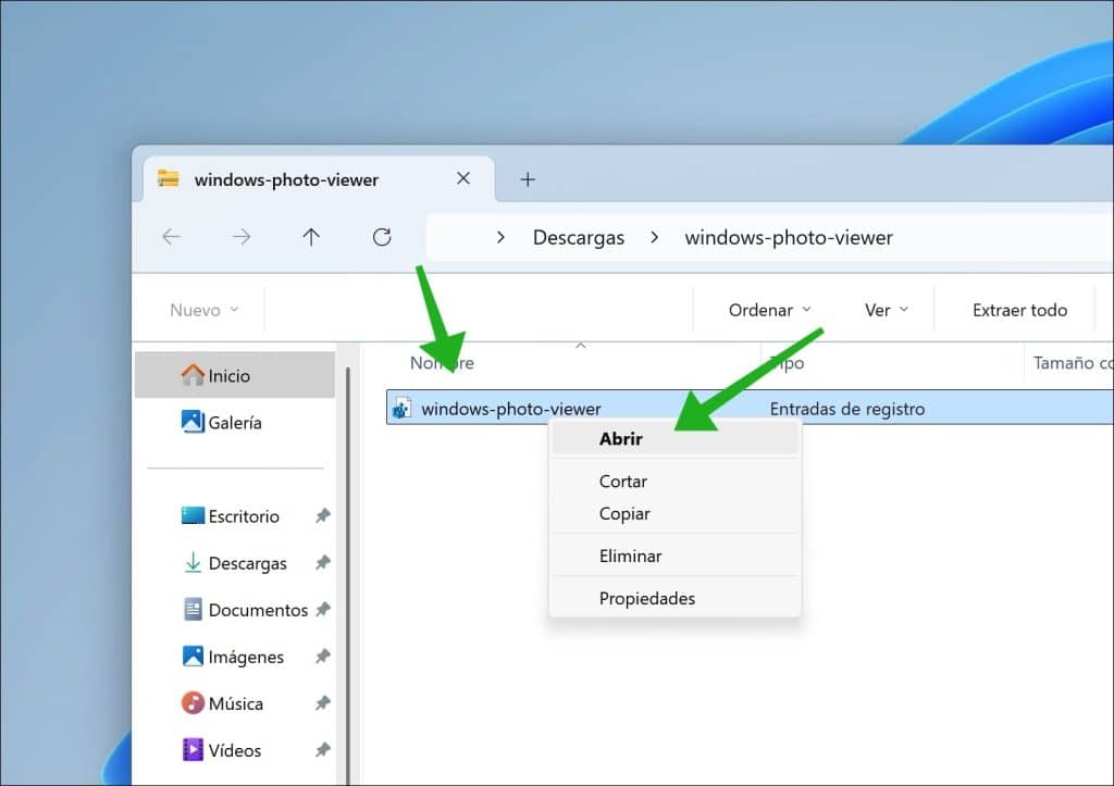 Abrir el archivo de registro en el archivo zip