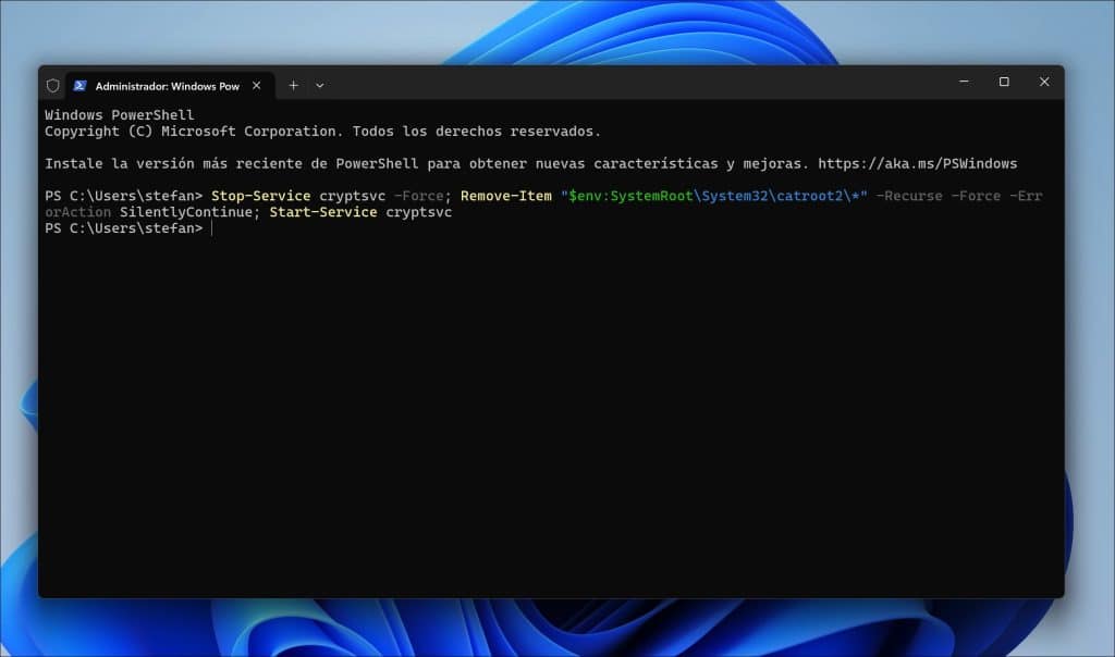 Restablecer la identidad de Windows Update